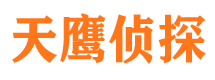 龙湖侦探公司